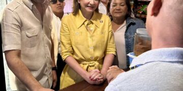 Vicepresidenta Raquel Peña y Roberto Ángel encabezan jornada contra el dengue en SDO