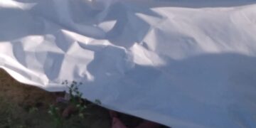 Cadáveres de neonatos fueron entregados debidamente a Funeraria para sepultura