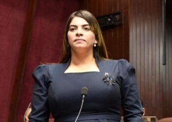Diputada Verónica Contreras califica como inaceptable la regularización de un contenedor de piña proveniente desde Costa Rica
