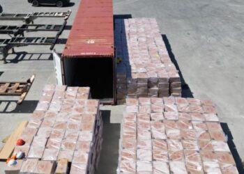 DGA detiene contrabando millonario de cigarrillos en dos contenedores