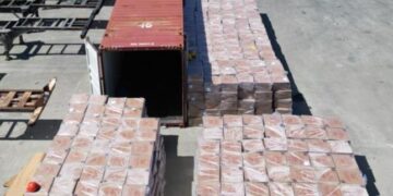 DGA detiene contrabando millonario de cigarrillos en dos contenedores