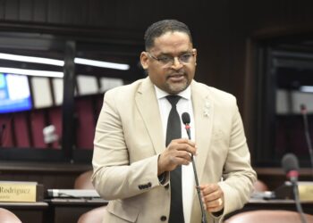 Sandro Sánchez irá como candidato a diputado por la reserva del PRM