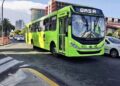Autobuses de la OMSA transportarán a fanáticos de la pelota invernal