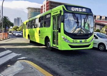 Autobuses de la OMSA transportarán a fanáticos de la pelota invernal