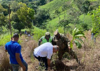 Desarrollo Fronterizo contribuye a la Preservación del Medio Ambiente con “Frontera Siembra”