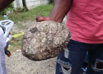 Desaprensivos lanzan piedras en zona de cementerio en San Cristóbal