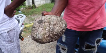Desaprensivos lanzan piedras en zona de cementerio en San Cristóbal