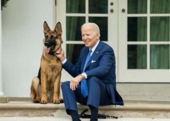 Commander, el perro de los Biden, expulsado de la Casa Blanca por morder a varios agentes
