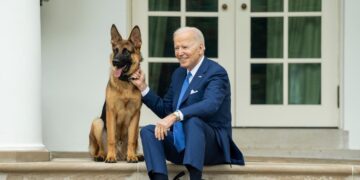 Commander, el perro de los Biden, expulsado de la Casa Blanca por morder a varios agentes