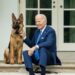 Commander, el perro de los Biden, expulsado de la Casa Blanca por morder a varios agentes