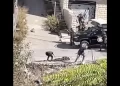 Se reporta atentado contra el convoy de presidente palestino