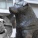 100 años cumple "Hachiko" perro que esperó a su amo en la estación de tren de Shibuya