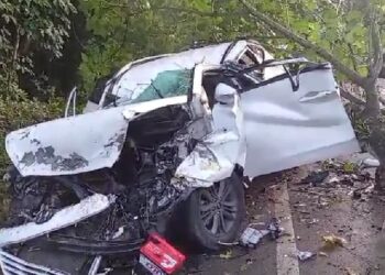 Caída de árbol provoca accidente, 1 muerto y 1 herido en Maimón