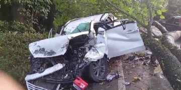 Caída de árbol provoca accidente, 1 muerto y 1 herido en Maimón