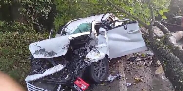 Caída de árbol provoca accidente, 1 muerto y 1 herido en Maimón