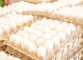 Gobierno dispone venta de cartones de huevos a 100 pesos este jueves en 76 supermercados a nivel nacional