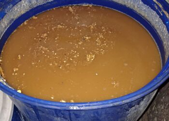 Desmantelan laboratorio de bebidas adulteradas en SPM