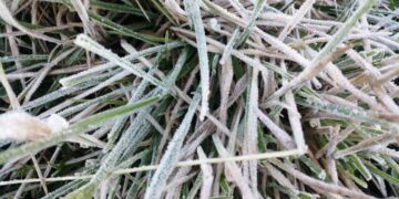 Se registra Temperatura bajo cero en Valle Nuevo, Constanza