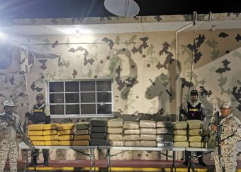 CESFront Y DNCD ocupan 499 libras de marihuana en pedernales