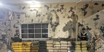 CESFront Y DNCD ocupan 499 libras de marihuana en pedernales