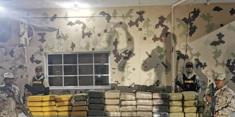 CESFront Y DNCD ocupan 499 libras de marihuana en pedernales