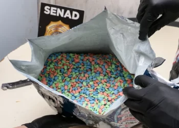 Incautan en Paraguay 13,000 pastillas de éxtasis procedente de Suiza