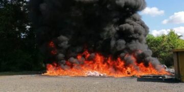 Procuraduría incinera más de 200 kilogramos de diversas drogas