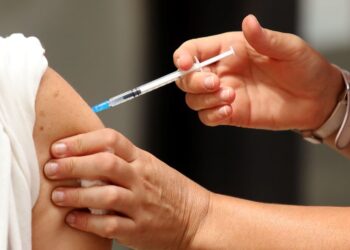 EEUU aprueba la primera vacuna contra el chikungunya