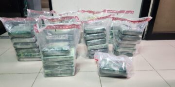 Ocupan en carga de cocos 56 paquetes presumiblemente cocaína en el AILA