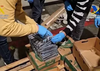 Intervienen en España 530 kilos de cocaína escondidos en cajas de aguacates procedentes de RD