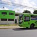 Autobuses de la OMSA trabajarán durante Nochebuena y feriado de Navidad