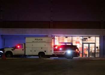 1 muerto y 3 heridos en tiroteo en centro comercial en EE.UU