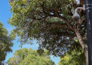 9-1-1 dispone instalación de cámaras de videovigilancia y megáfono en Parque Cristo Libre