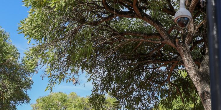 9-1-1 dispone instalación de cámaras de videovigilancia y megáfono en Parque Cristo Libre