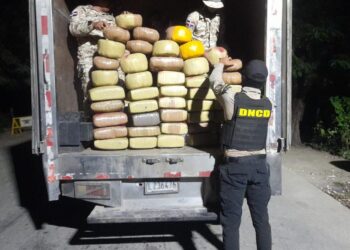 CESFront y DNCD incautan 368 libras de marihuana en Elías Piña