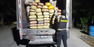 CESFront y DNCD incautan 368 libras de marihuana en Elías Piña