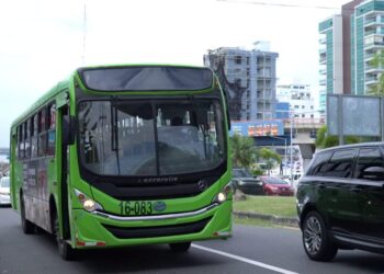 La OMSA iniciará el 2024 ofreciendo transporte gratuito