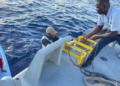 Armada RD rescata a dos pescadores permanecían desaparecidos en SPM