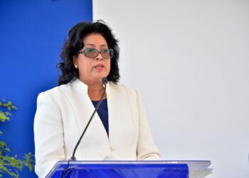 Cristina Lizardo: Ley del DNI contradice artículo 49 de la Constitución