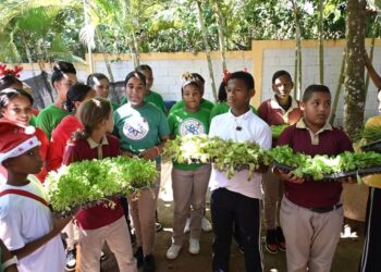 Agricultura refuerza y aumenta plan de huertos familiares y escolares