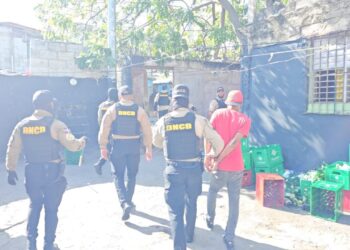 DNCD realiza operativo en San Cristóbal