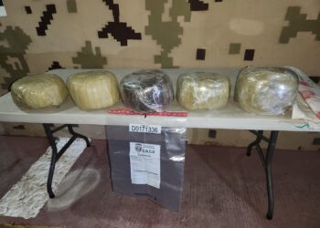 Cesfront y DNCD ocupan 26 libras de marihuana en Pedernales