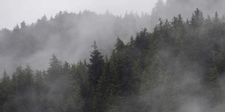 Frente frío y vaguada siguen debilitándose