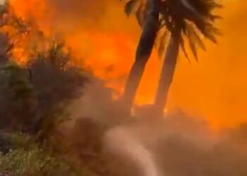 El número de muertos por los incendios en Chile ascendió a 99