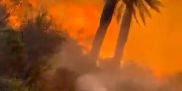 El número de muertos por los incendios en Chile ascendió a 99