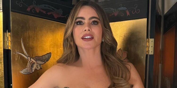 Sofía Vergara estaría buscando un nuevo amor: “No necesito un marido, lo quiero”