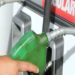 Gasolinas, el diésel y el gas propano mantendrán sus precios en la próxima semana