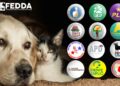 FEDDA promoverá candidatos que tienen propuestas a favor de los animales