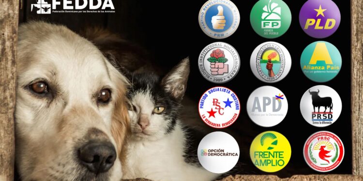 FEDDA promoverá candidatos que tienen propuestas a favor de los animales