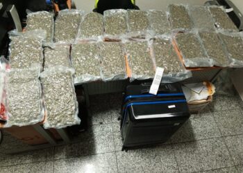 Autoridades decomisan 40 paquetes de marihuana en el AILA